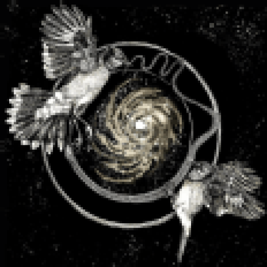 Sky Swallower CD