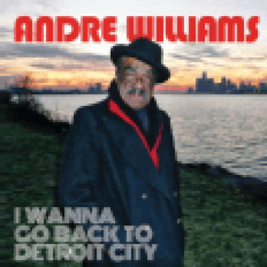 I Wanna Go Back to Detroit City LP