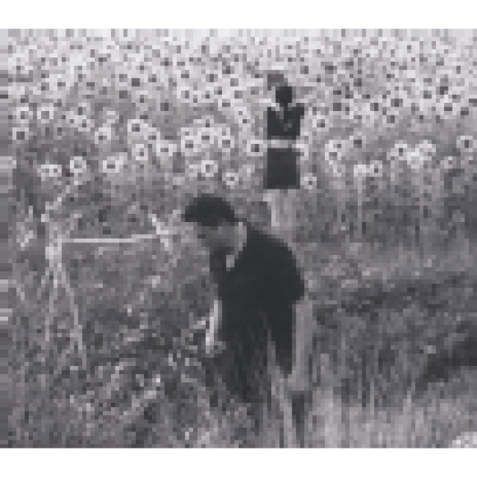 Sun Kil Moon / Jesu LP