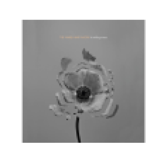The Naked and Famous (Vinyl LP (nagylemez))