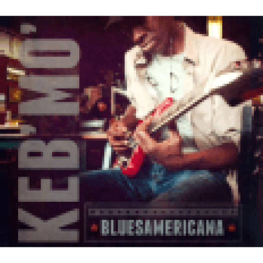 Bluesamericana LP
