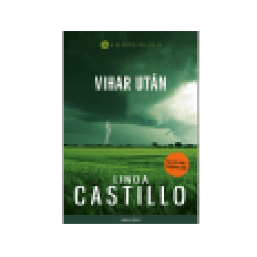 Vihar után