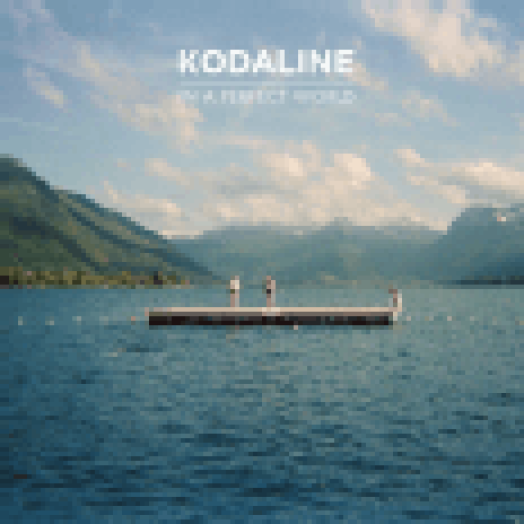 In a Perfect World (Deluxe Edition)