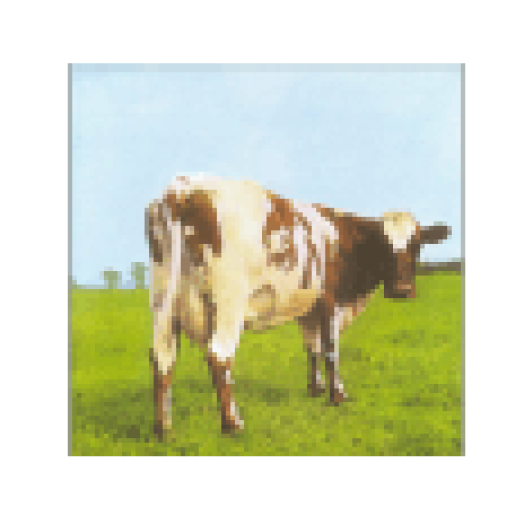 Atom Heart Mother (Vinyl LP (nagylemez))