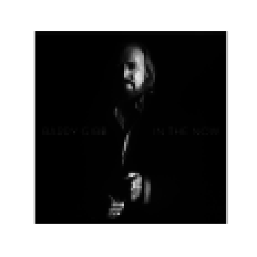 In the Now (Vinyl LP (nagylemez))