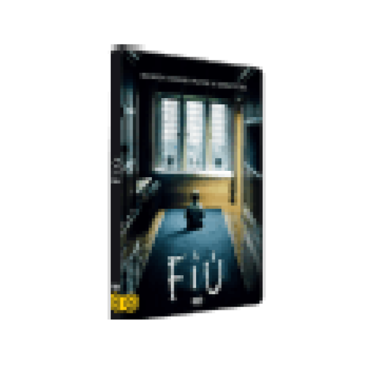A fiú (DVD)