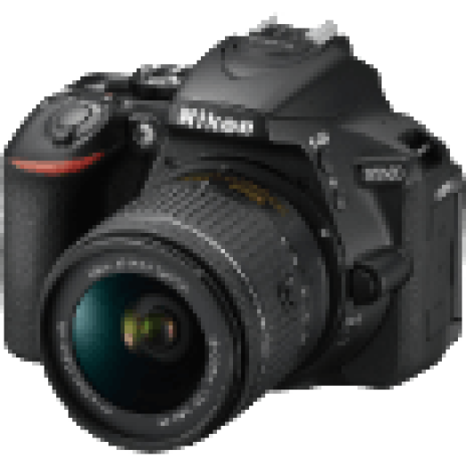 D5600 + 18-55 AF-P DX VR Kit