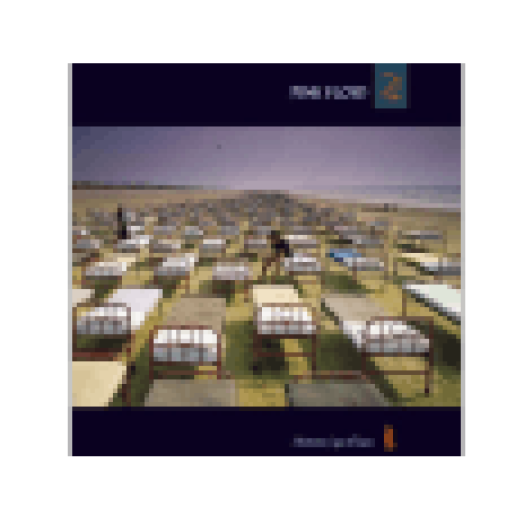 A Momentary Lapse of Reason (Vinyl LP (nagylemez))
