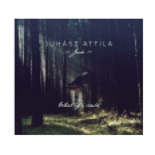 Whati if I Cloud (CD)