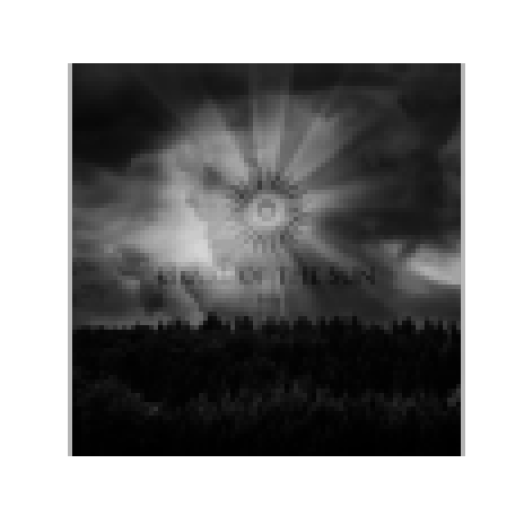 Soil (CD)
