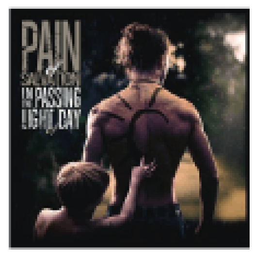 In the Passing Light of Day (Gatefold Black) Vinyl LP + CD