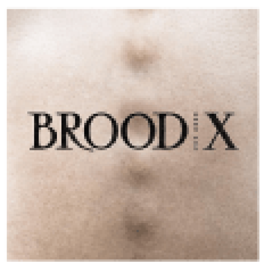 Brood X (Vinyl LP (nagylemez))