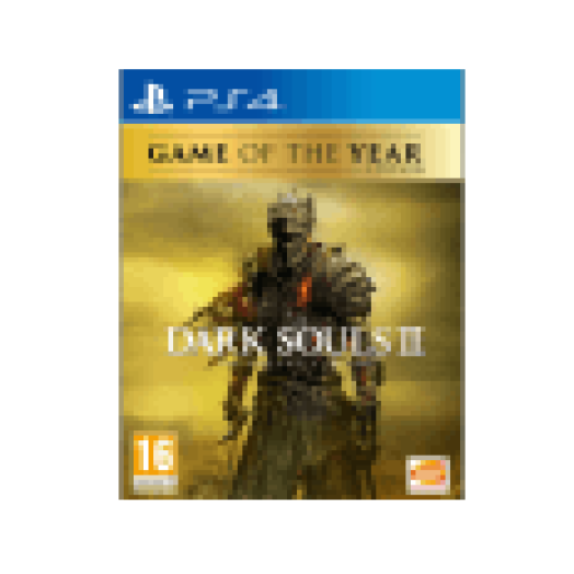 PS4 DARK SOULS 3-FIRE FADES-GOTY