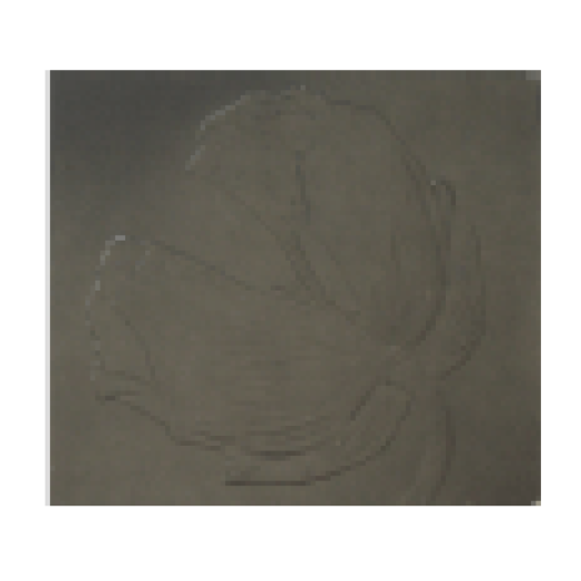 Release (2001-2004) CD