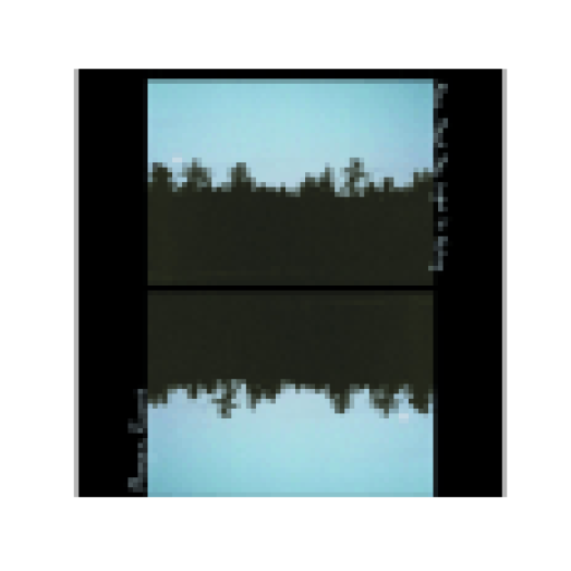 Now That the Light is Fading (CD)