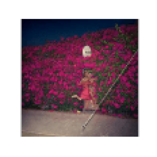 Pleasure (CD)