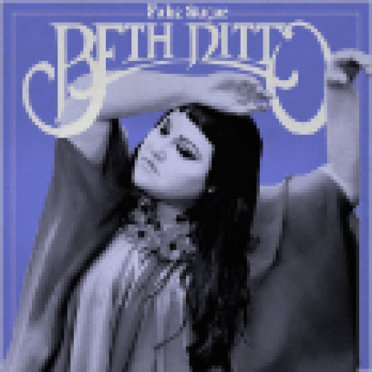 Fake Sugar (CD)