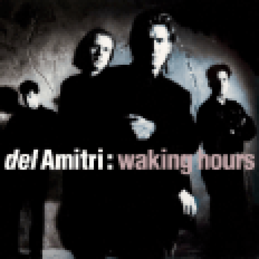 Waking Hours CD