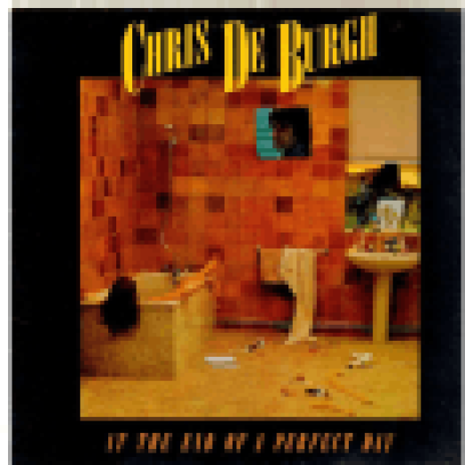 At the End of a Perfect Day CD