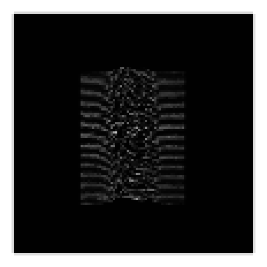 Unknown Pleasures CD