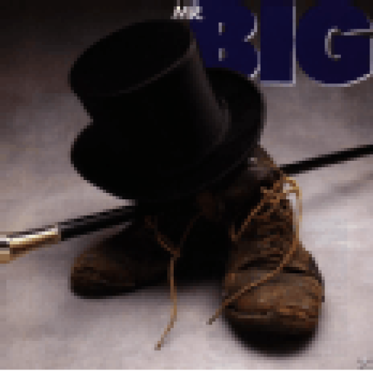 Mr. Big CD