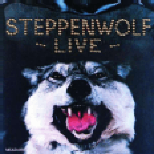 Live CD