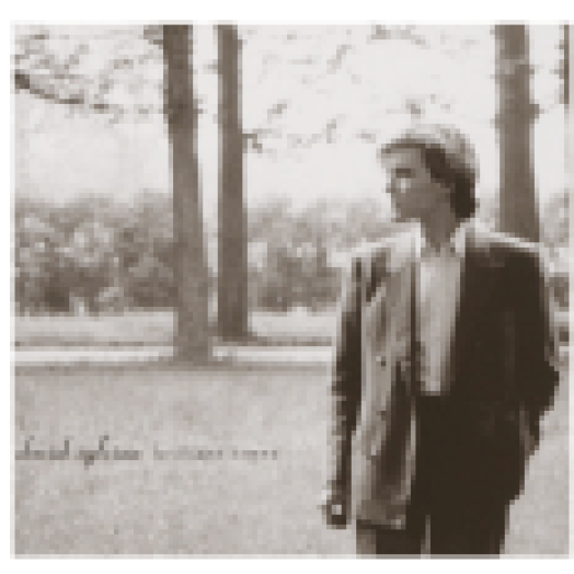 Brilliant Trees (Remastered Edition) CD