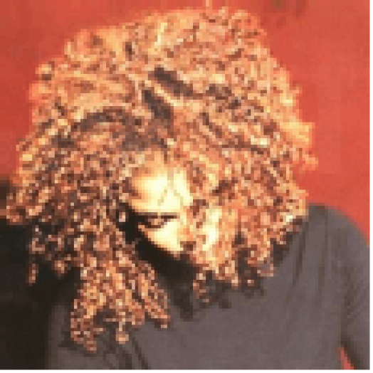 The Velvet Rope CD