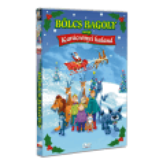 Bölcs bagoly meséje - Karácsonyi kaland DVD
