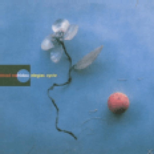Elegiac Cycle CD