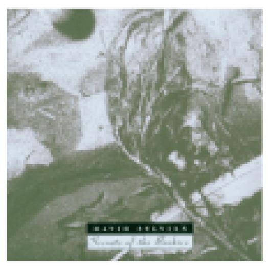 Secrets of the Beehive (Remastered Edition) CD