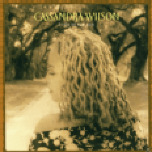 Belly Of The Sun CD