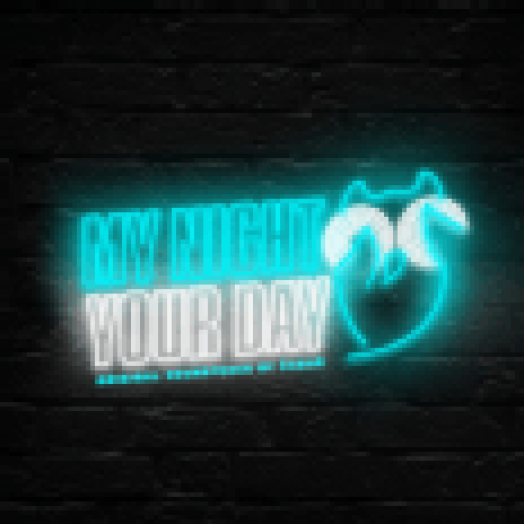 My Night Your Day / Az éjszakám a nappalod CD