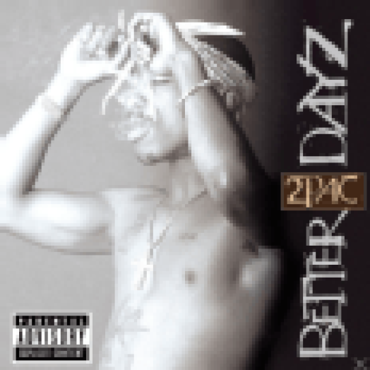 Better Dayz CD