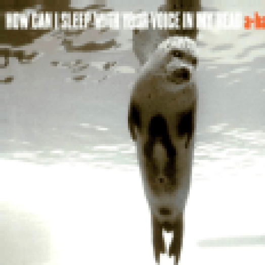 How Can I Sleep With Your Voice In My Head CD