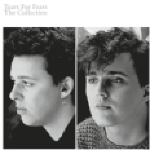 The Collection CD