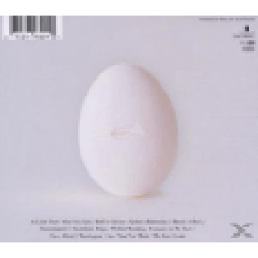 A Ghost Is Born CD