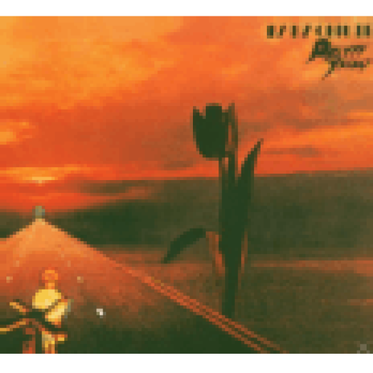 Parachute CD
