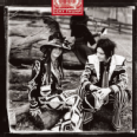 Icky Thump CD