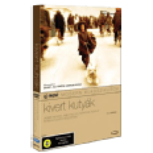 Kivert kutyák DVD