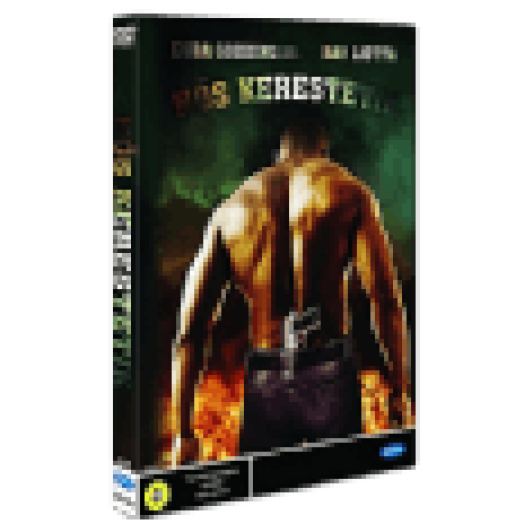 Hős kerestetik DVD