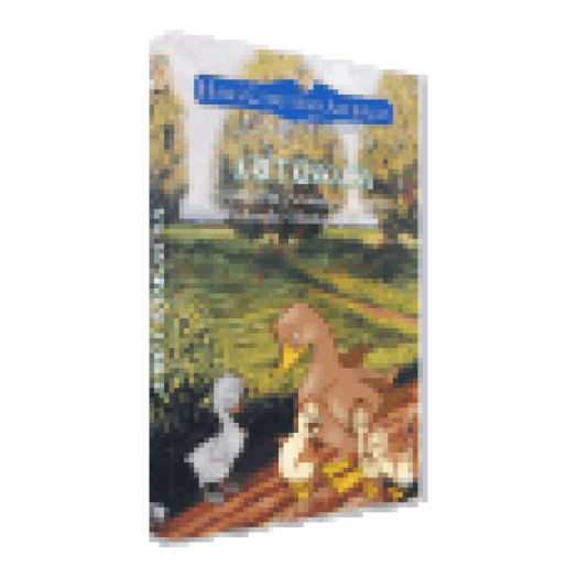 A rút kiskacsa DVD
