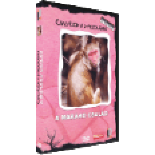 Családok a vadonban - A makákó család DVD