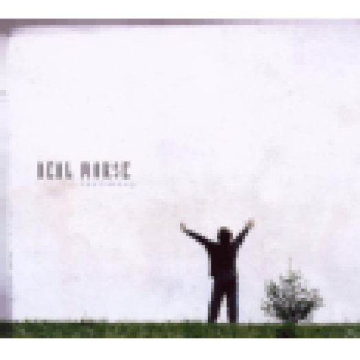 Testimony CD