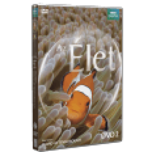 Az élet 2. DVD