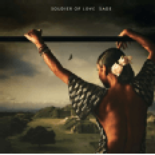 Soldier Of Love LP