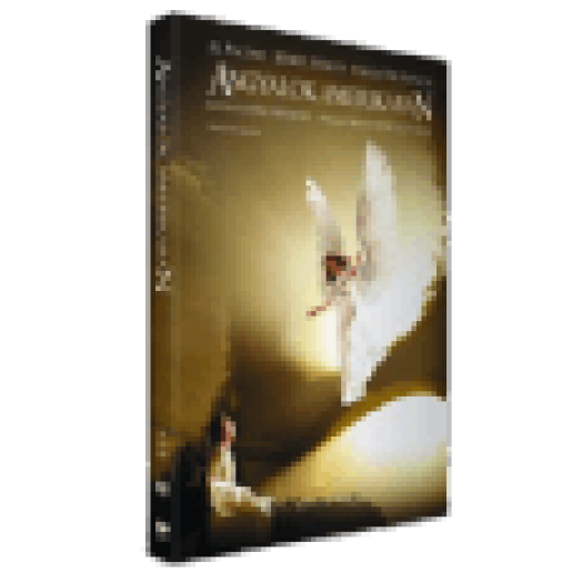 Angyalok Amerikában DVD