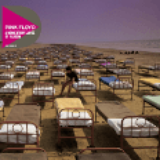 A Momentary Lapse of Reason CD