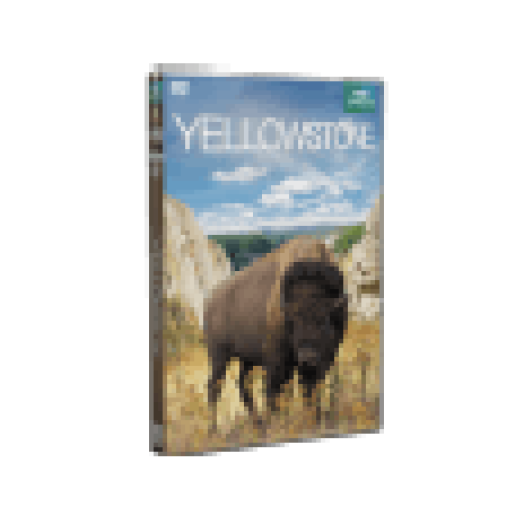 BBC  Yellowstone (DVD)