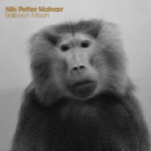 Baboon Moon CD